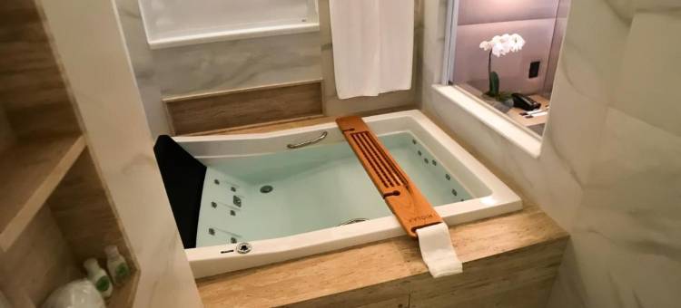 贝洛奥里藏特萨瓦斯丽笙酒店(Radisson Blu Belo Horizonte Savassi)图片