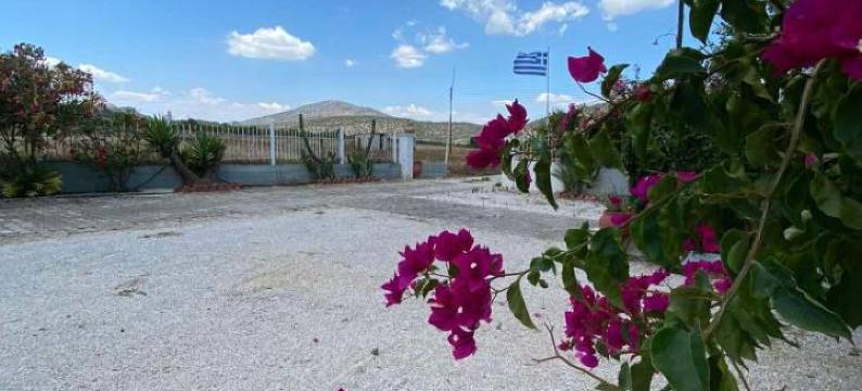 Leonidas Resort图片