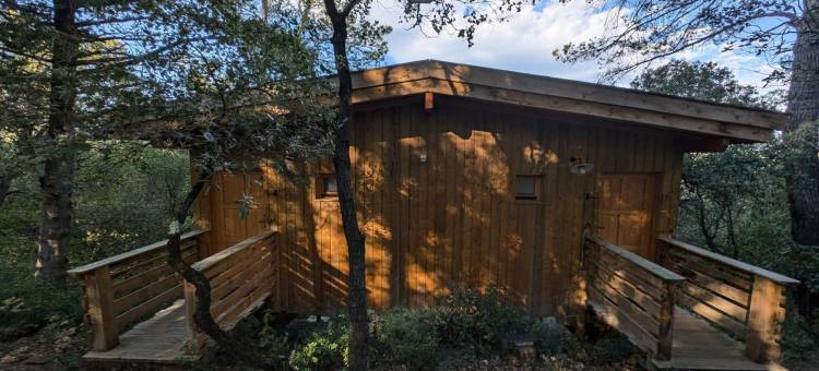莱斯卡班内斯丹莱布瓦酒店(Les Cabanes Dans les Bois Logis Hôtel)图片
