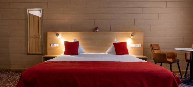 英格拉蒂酒店(Hotel INGREDI)图片
