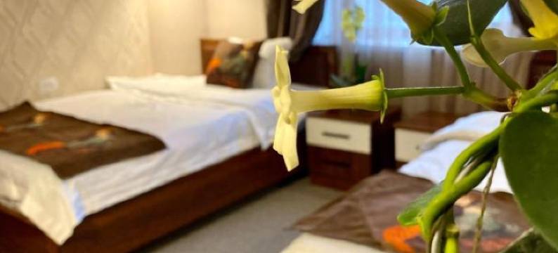 Cube House Osh图片