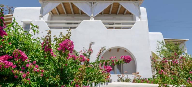 纳索斯自然套房酒店(Naxos Nature Suites)图片