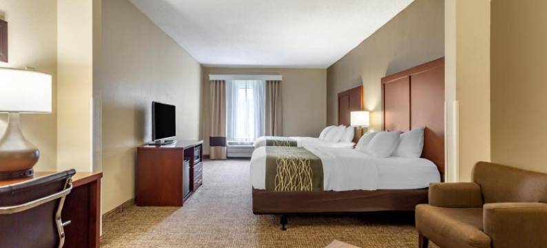 舒适套房酒店(Comfort Inn & Suites)图片