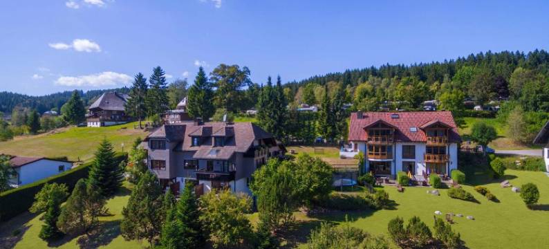 阿莱曼恩霍夫精品酒店(Alemannenhof - Boutique Hotel am Titisee)图片