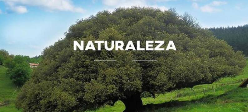 加莱科乡村酒店(Hotel Garaiko Landetxea)图片