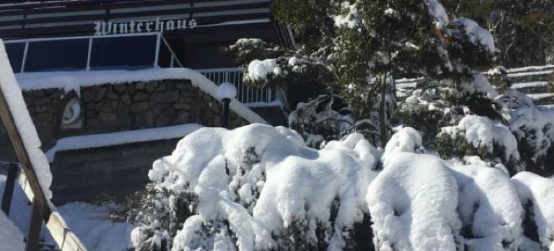 温特豪斯旅馆(Winterhaus Lodge)图片