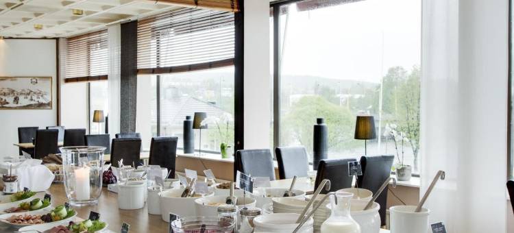 第一施塔特酒店(First Hotel Stadt)图片