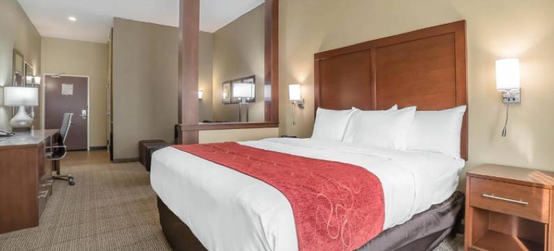 比灵斯舒适套房酒店(Comfort Suites Billings)图片