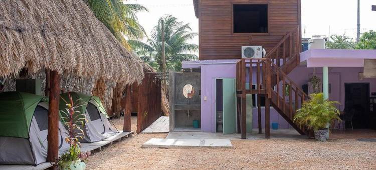 马帕切旅舍(Mapache Hostel & Camping)图片