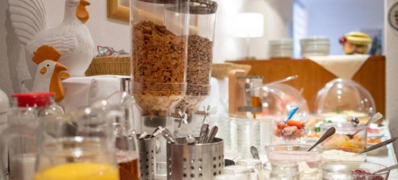 弗莱尔温泉酒店(Flair Hotel Zur Therme)图片