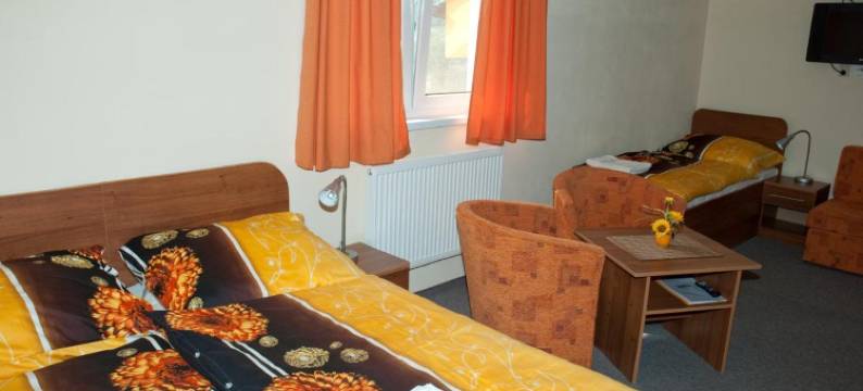 麦客斯旅馆(Penzión Max)图片