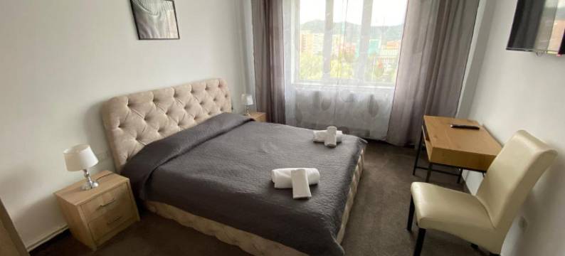 佩特罗沙尼出租房 - Hotel Petroshani srl(Petrosani Camere de Inchiriat - Hotel Petroshani Srl)图片