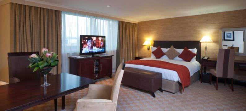 南太阳OR塔波国际机场酒店(Southern Sun or Tambo International Airport)图片