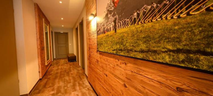 施瓦茨霍夫浪漫酒店(Romantik Hotel Schweizerhof)图片