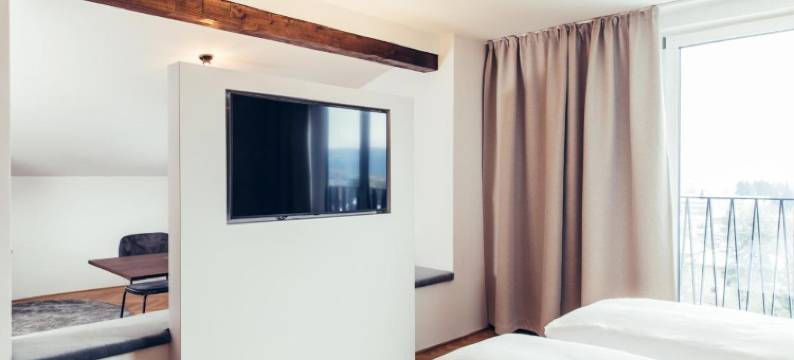 克拉根福特德穆斯酒店(Hotel Dermuth Klagenfurt)图片