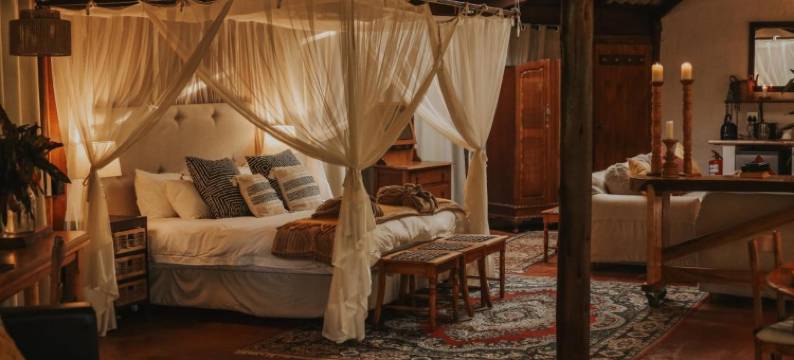 蜜森小屋旅馆(Honeywood Forest Lodge)图片