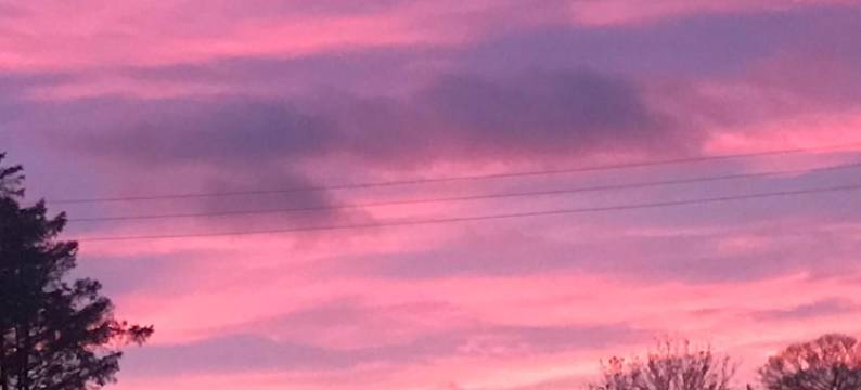 罗克比酒店(Rokeby Inn)图片