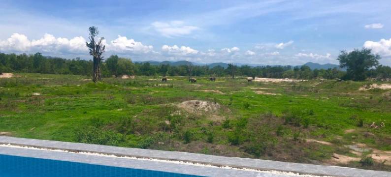 我爱大象度假村(I love phants Lodge)图片