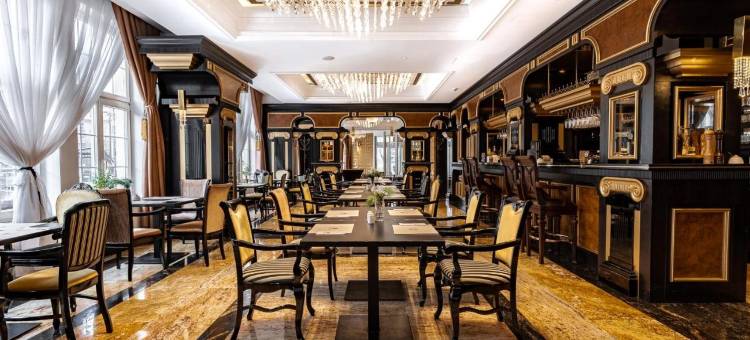 达纳商务与会议酒店(Hotel Dana Business & Conference)图片