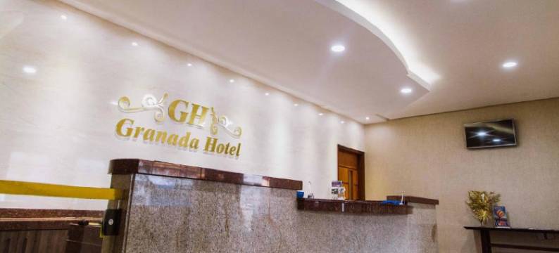 阿尔兹拉格拉纳达酒店(Alzira Granada Hotel)图片