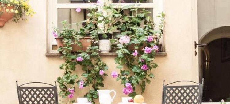 科尔特费欧利塔艾尔伯格迪富索酒店(Corte Fiorita Albergo Diffuso)图片