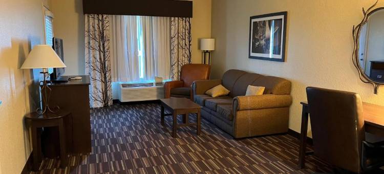 舒适套房酒店(Comfort Inn & Suites)图片