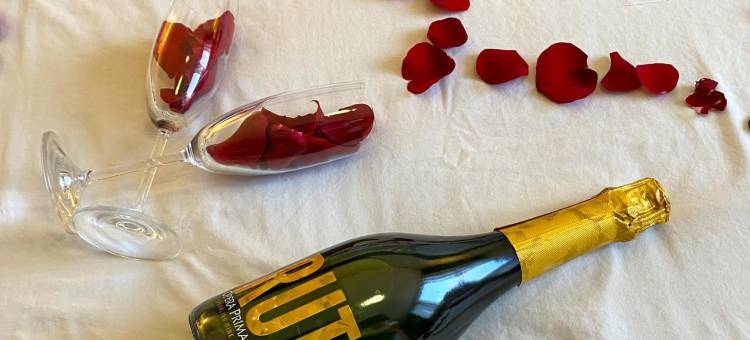 圣路易斯波托西舒适酒店(Comfort Inn San Luis Potosi)图片