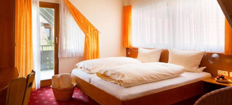 维尔罗温酒店(Vier Löwen)图片