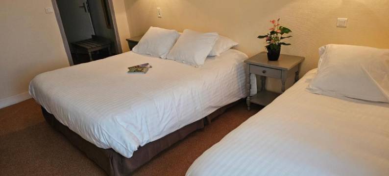 里约雷之家酒店(Logis Hôtel Restaurant l'Unique)图片