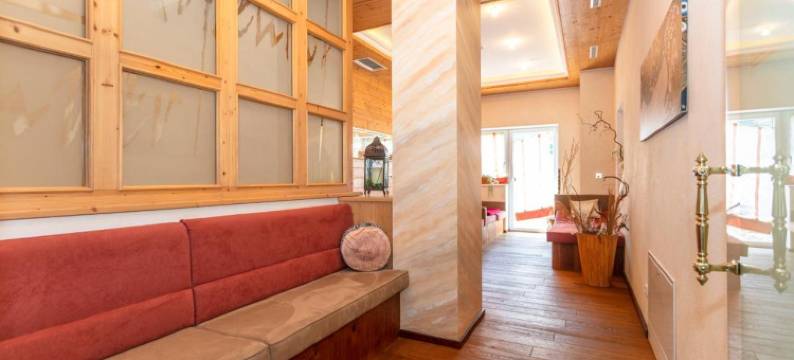 温格阿朋霍夫酒店(Apart Hotel Alpenhof Werfenweng)图片