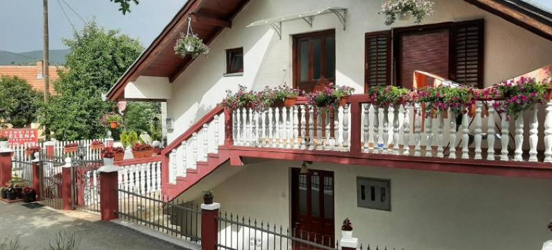 耶莱娜宾馆(Guesthouse Jelena)图片