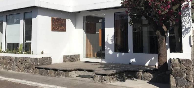 仙人掌酒店(Cactus)图片