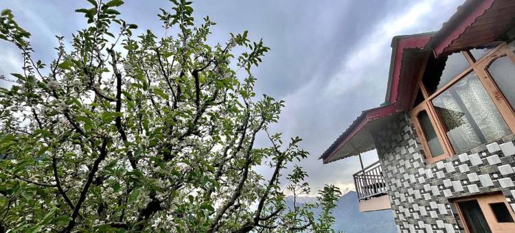 Cloud Culture Cottage图片