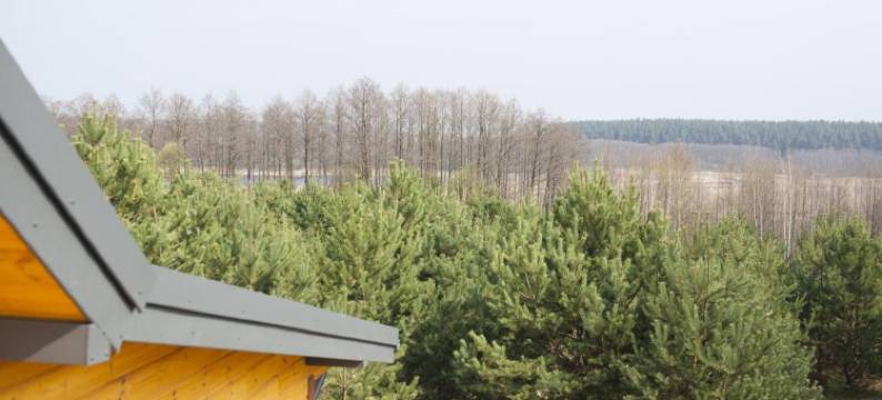 Farmstay Marianowka u Tesi图片