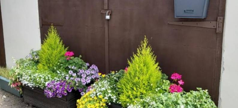 瑰宝住宿加早餐旅馆(The Gem)图片