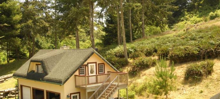 叶奥尔德丹麦酒店(Ye Olde Danish Inn)图片