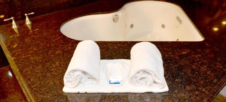 里布戴娜丝缇套房酒店(Dynasty Suites Hotel)图片