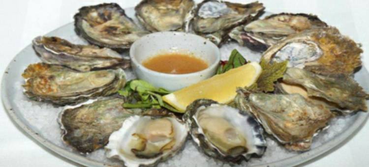 海德公园酒店(Hyde Park Inn)图片