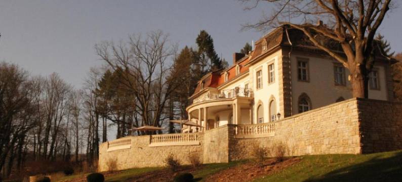 Hotel Villa Altenburg图片