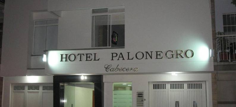 帕隆格酒店(Hotel Palonegro)图片