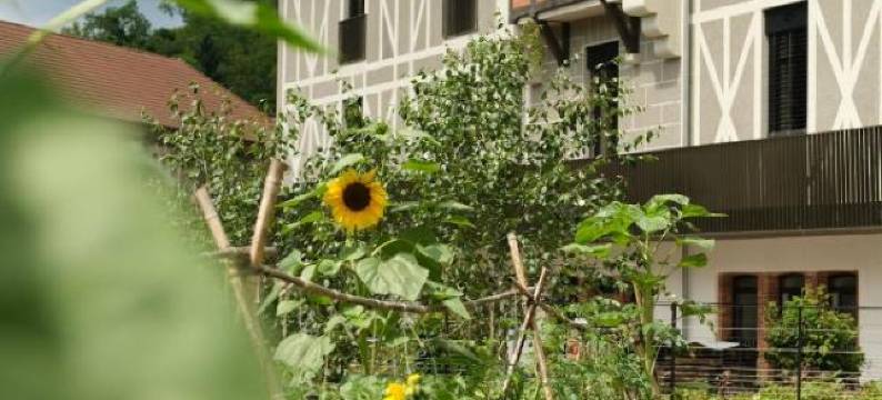 艾里贝特宅邸酒店(Maison Aribert)图片