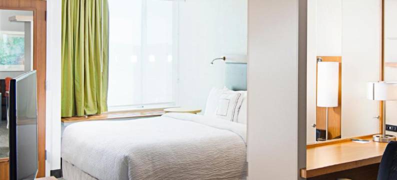 卡尔珀雷斯花园城市万豪SpringHill Suites酒店(SpringHill Suites Carle Place Garden City)图片