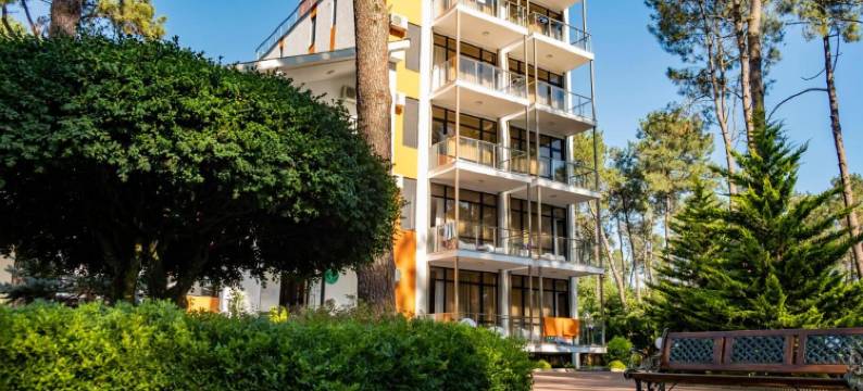 谢科维蒂利布克斯酒店(Buxus Hotel Shekvetili)图片