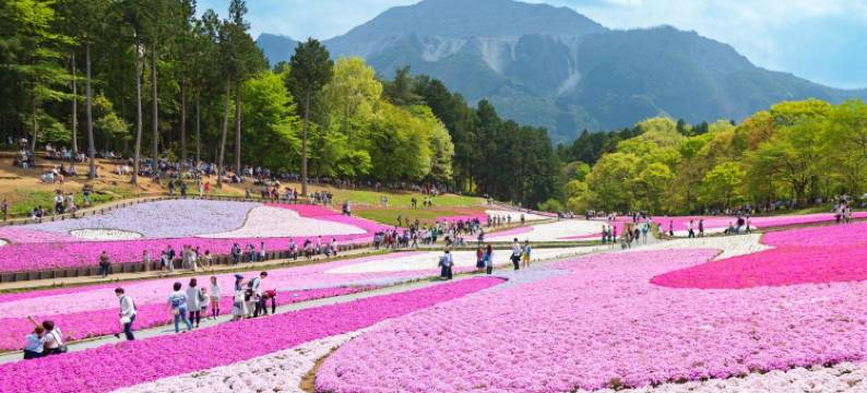 旅馆 比与志(Ryokan Hiyoshi)图片