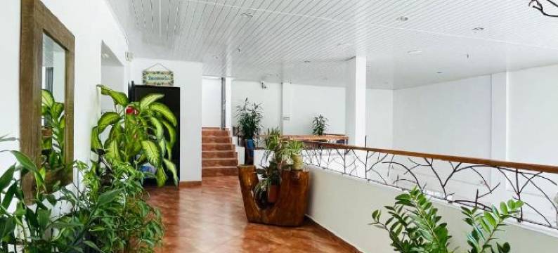 科罗纳多旅馆酒店(Hotel Coronado Inn)图片