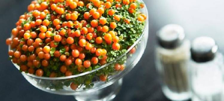 速特酒店(Hotel Surte)图片