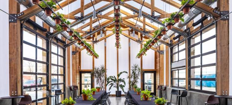 亲缘着陆(Kinship Landing)图片