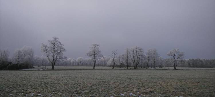 Bed & Breakfast El Manso图片