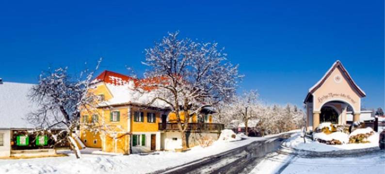 福鲁克斯佩森扎格勒霍夫酒店(Frühstückspension Zanglhof)图片