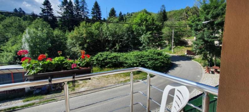 绿宫酒店(Hotel Green Palace)图片